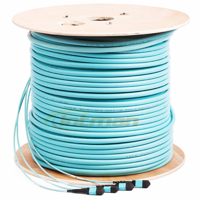 MPO Ribbon Patch cable