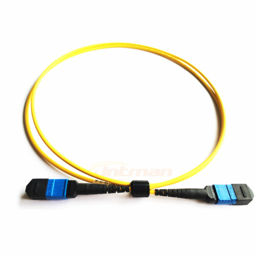 mpo 12fiber singlemode patch cable