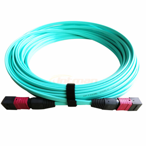 MPO MTP Ribbon Cable