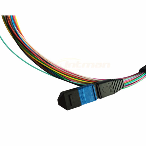 MPO Fiber optic pigtails